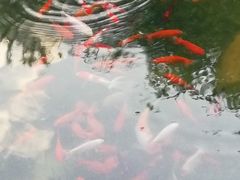 -晓港公园