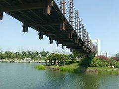 -上海鲜花港