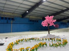 -宁波冰雪大世界(北仑区)