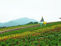 -东部华侨城