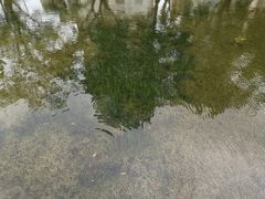 -晓港公园
