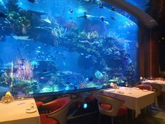 -迪拜帆船酒店海底餐厅