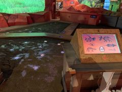 -珠海横琴国家地理探险家中心(创新方)