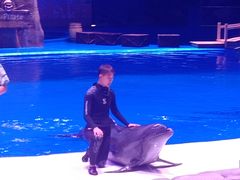 -华夏文旅海洋公园