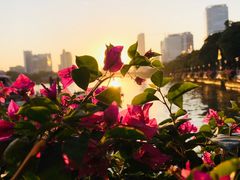 -珠江夜游广州塔·中大码头