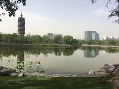 -西海子公园