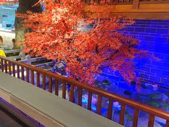 -真定郝家排骨(正定县总店)