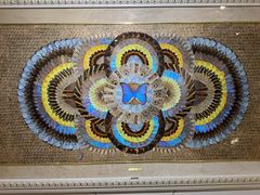 -上海昆虫博物馆