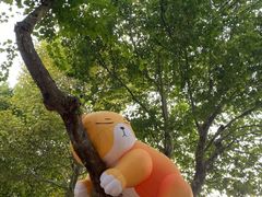 -西安电影制片厂