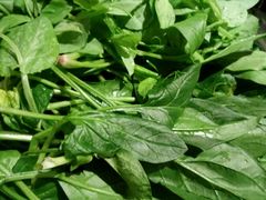 -黔蘑菇四季餐厅(观山湖店)