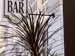 -Long Bar(莱佛士酒店)