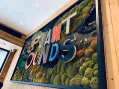 -Elephant Grounds(STARSTREET)