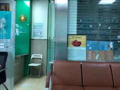 -半岛宠物医院24小时(科华中路店)