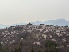 -白水寺森林公园