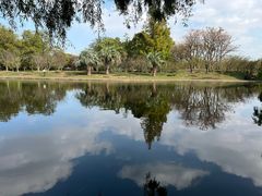 -上海共青森林公园