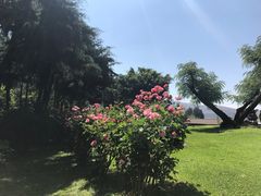 -南诏风情岛