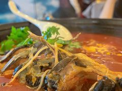 贵州酸汤鱼-贵州大厦贵州厅(樱花园西街店)