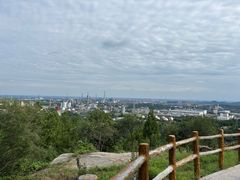 -白水寺森林公园