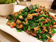 蚬肉生菜包-沙龙酒家