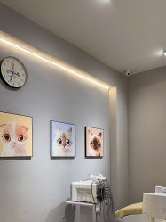 点击看大图 -洗脸猫·洗脸吧