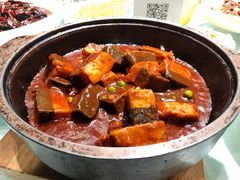 菌香豆腐-三强鸽子(中原路店)