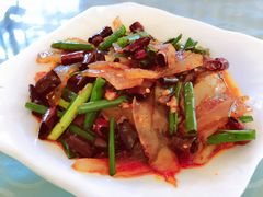 -午后庭院