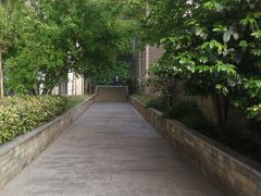 -重庆鲁能巴蜀中学食堂