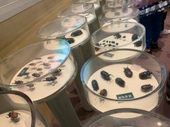 -陕西自然博物馆