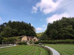 -韶山毛泽东同志故居