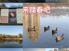 -前关湿地公园