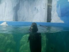 -多彩贵州城极地海洋世界