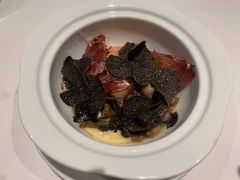 -蝶舍·MAISON PAPILLON