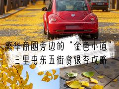 -三里屯东五街银杏大道