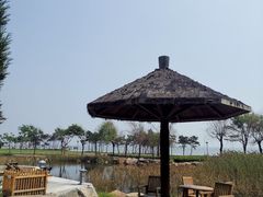 -青岛海泉湾度假区温泉