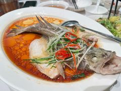 -眉州东坡·熊猫主题餐厅(枫蓝店)