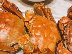 大闸蟹-海味世家·家常菜馆(明州里店)