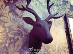 -KISS TATTOO 中国高端刺青店