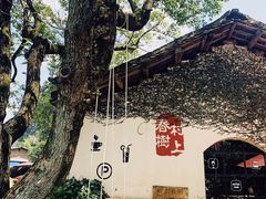 -村上春树
