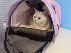 -瑞派福兴宠物医院犬猫全科·骨科·中西医结合(河东店)