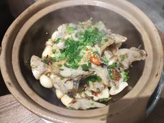 啫啫鱼腩-十六蒲(桂林路店)