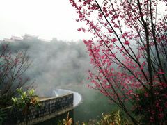 -九鲤湖风景区