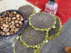 -德禄酸奶(莫家街店)