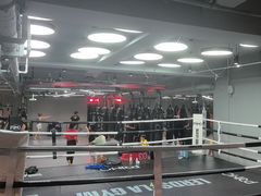 -花环泰拳·勒德斯拉泰拳馆(静安店)