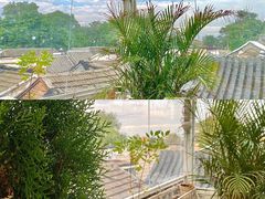 -小时光咖啡馆(北锣鼓巷店)