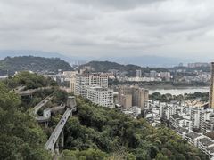 -福道