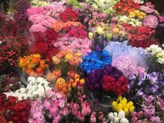 -双季花艺园艺市场(浦东店)