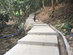 -火炉山森林公园