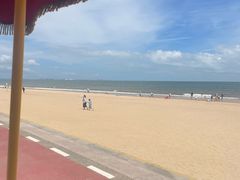 -日照海滨国家森林公园
