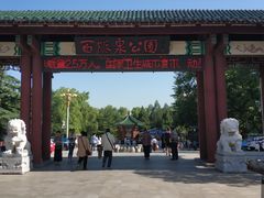 -百脉泉景区
