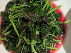 -小厨娘金榜题名(夫子庙秦淮河店)